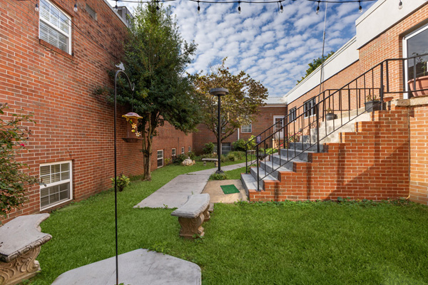 Grass Replacement — photo 1