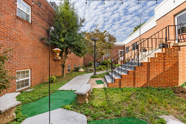 Grass Replacement — photo 2